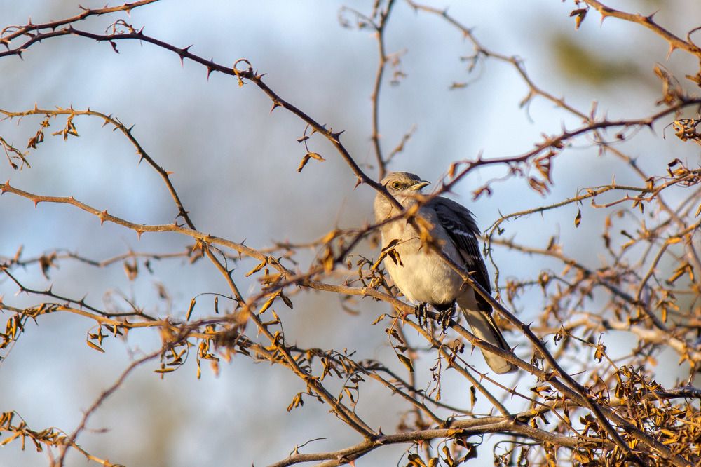 Photograph by Анатолий Костерев