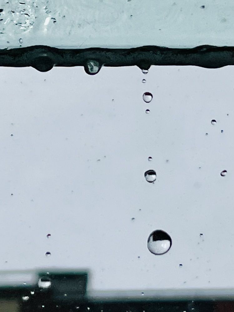 Фотография автора NATALYA OZHEGOVA