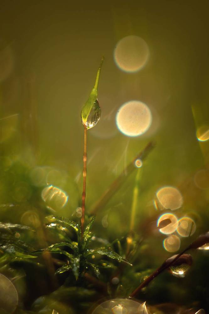 Photograph by Андреев Николай