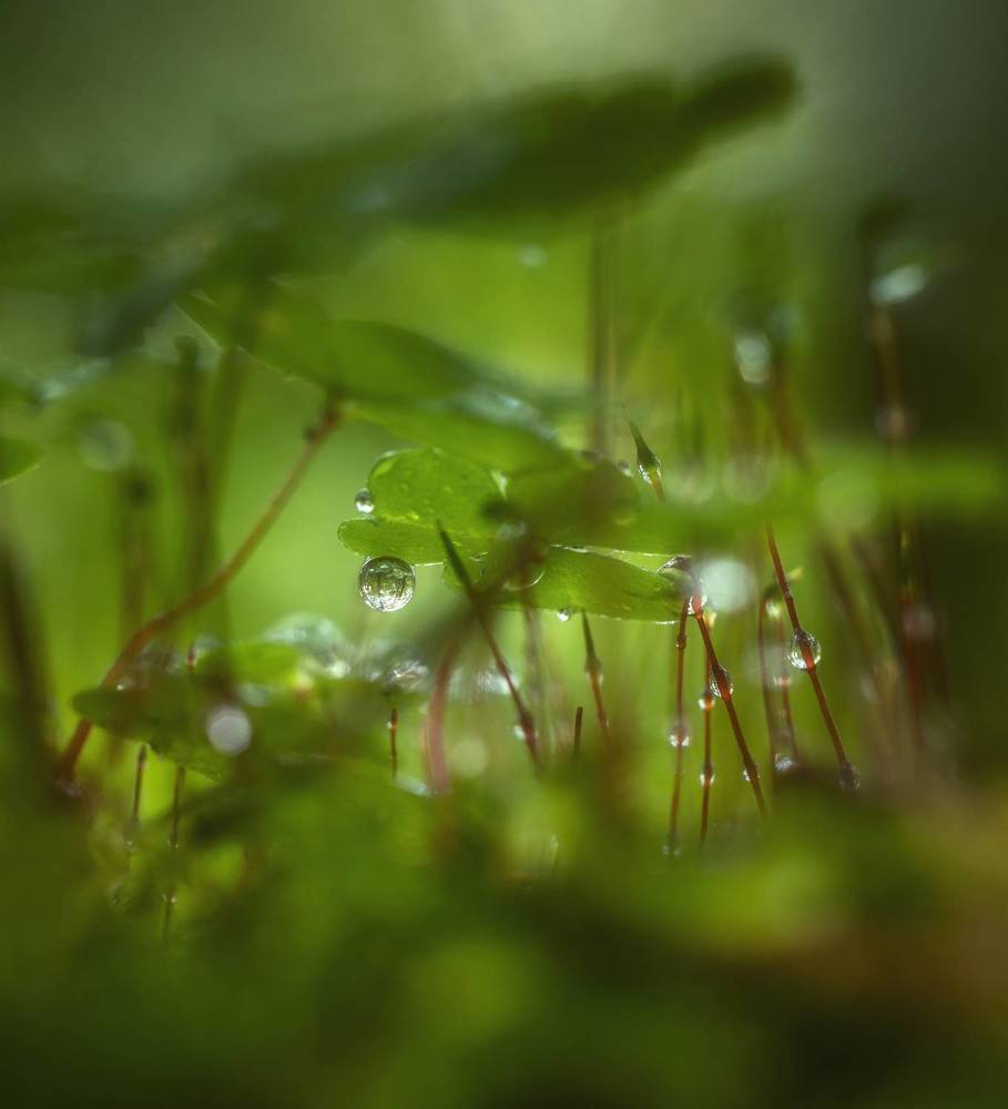 Photograph by Андреев Николай