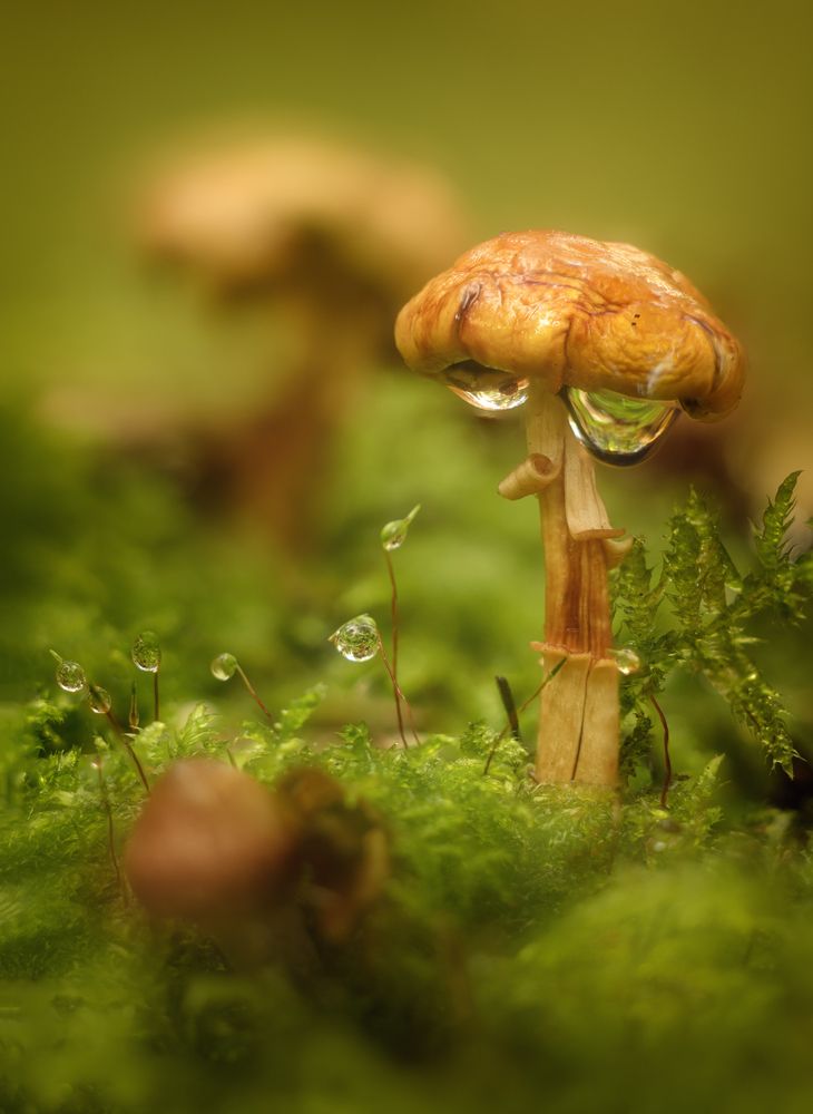 Photograph by Андреев Николай