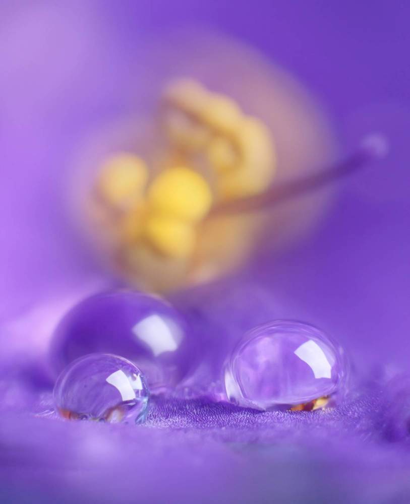 Photograph by Андреев Николай