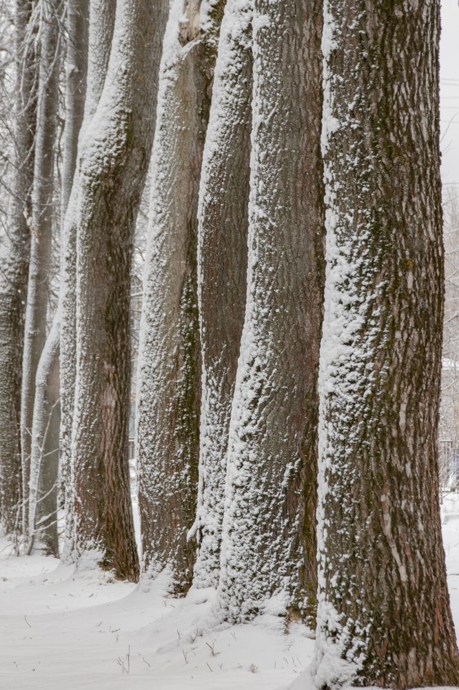 Photograph by Татьяна Романова