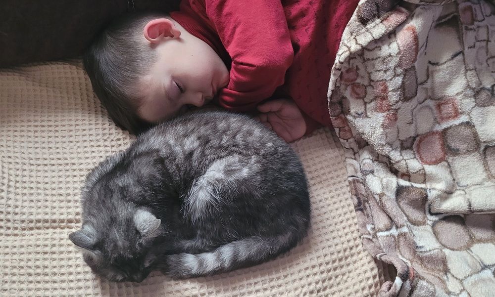 Photograph by Метушова Анна