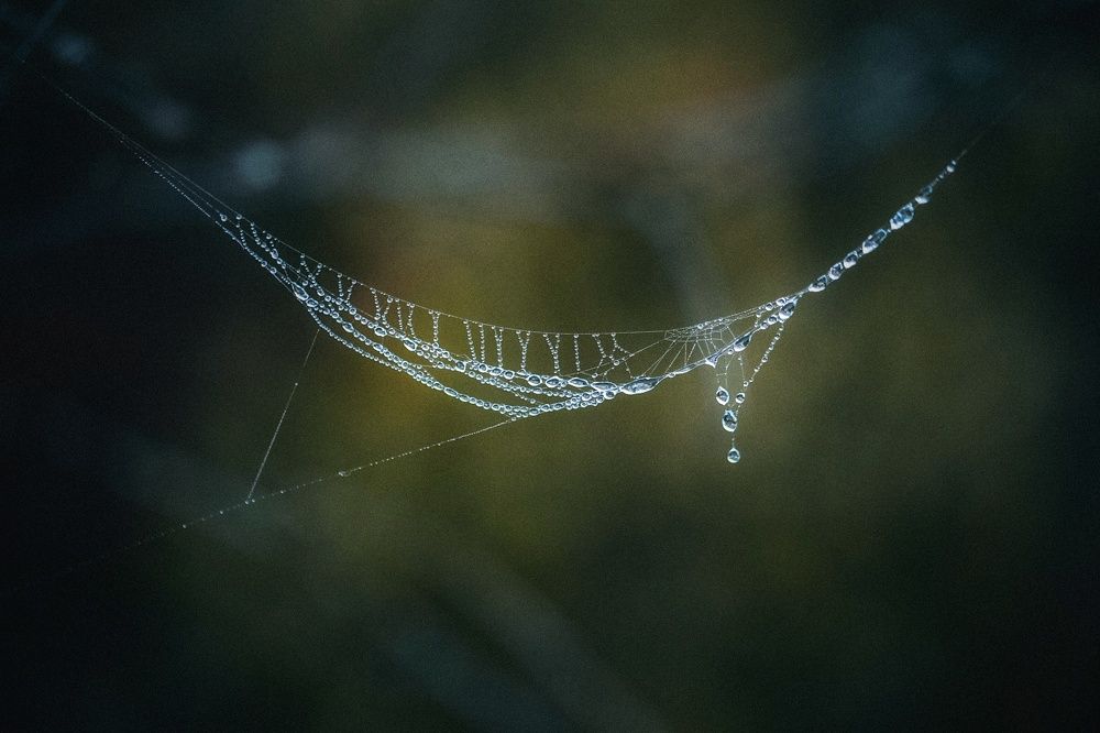 Photograph by Leanid Kulpo