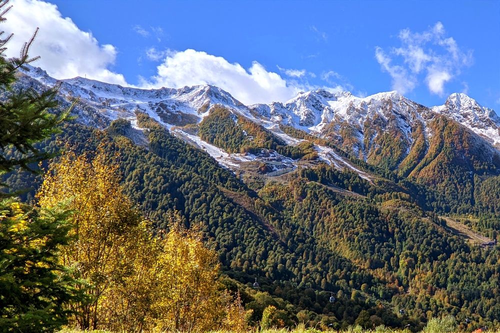 Фотография автора Андрей Павловский