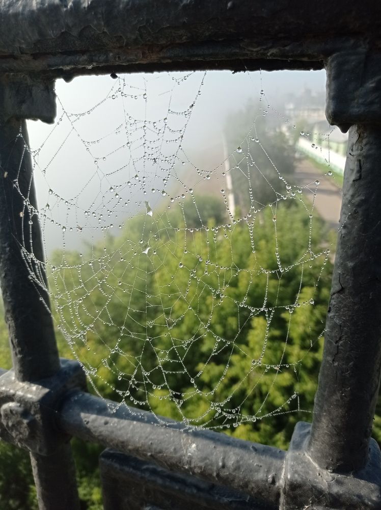 Фотография автора Сергей Байкальский