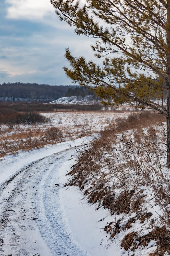 Фотография автора Дмитрий Войцешко