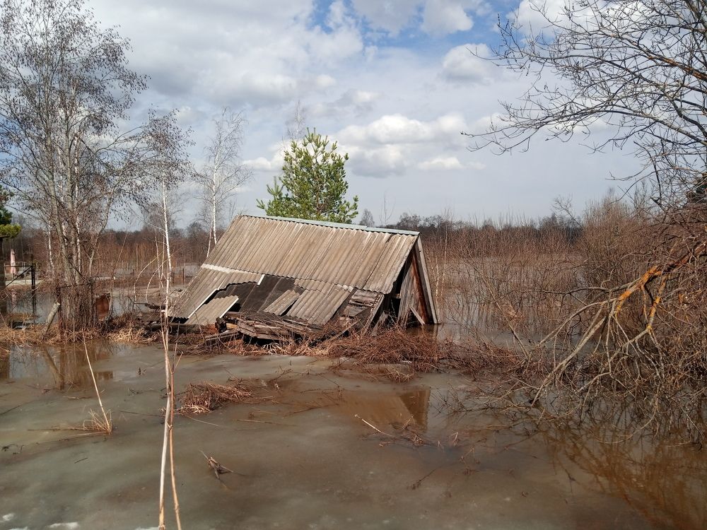 Photograph by Елена Кузина