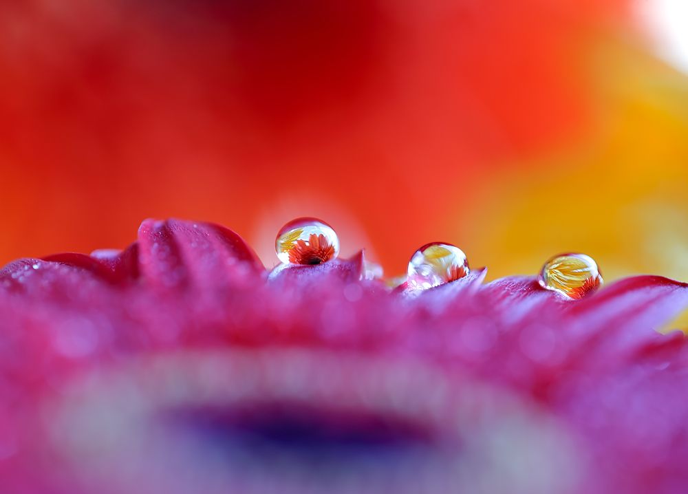 три подружки