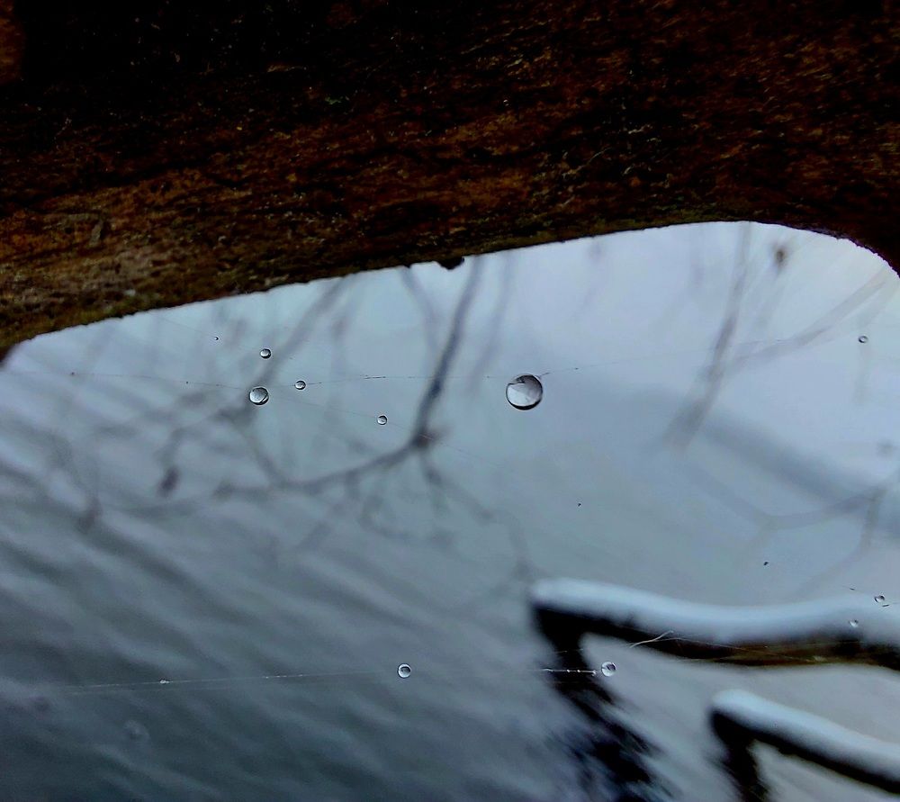 Фотография автора Виталий Петров