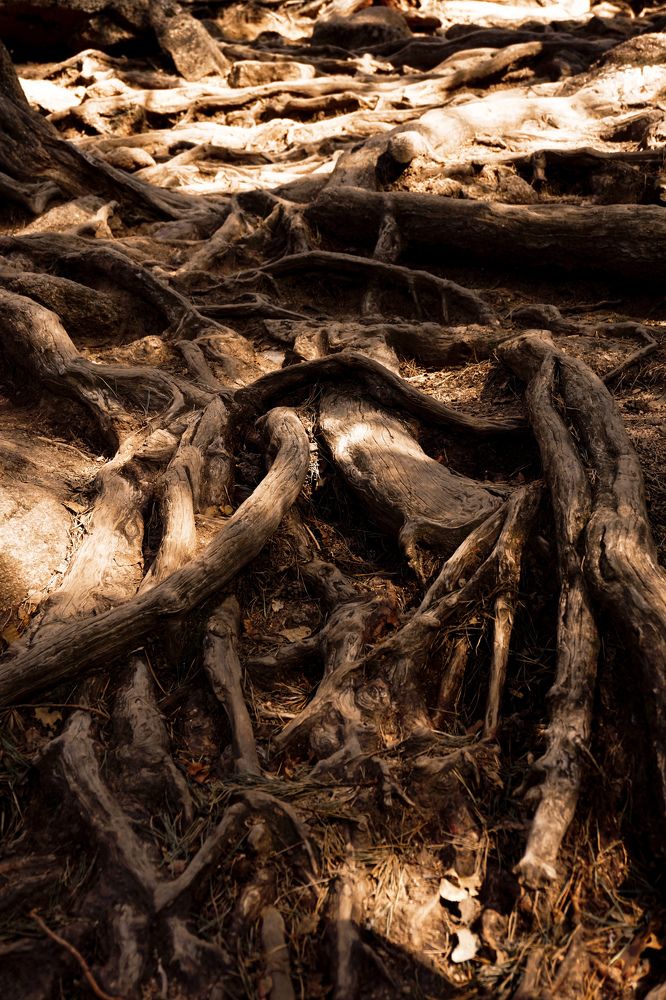 Photograph by Ксения Дудкина