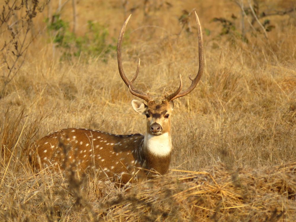 Photograph by SUCESS LOVER