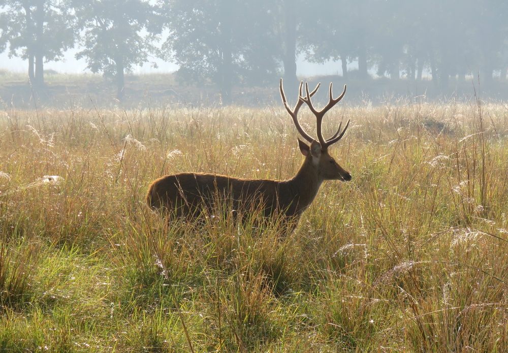 Photograph by SUCESS LOVER