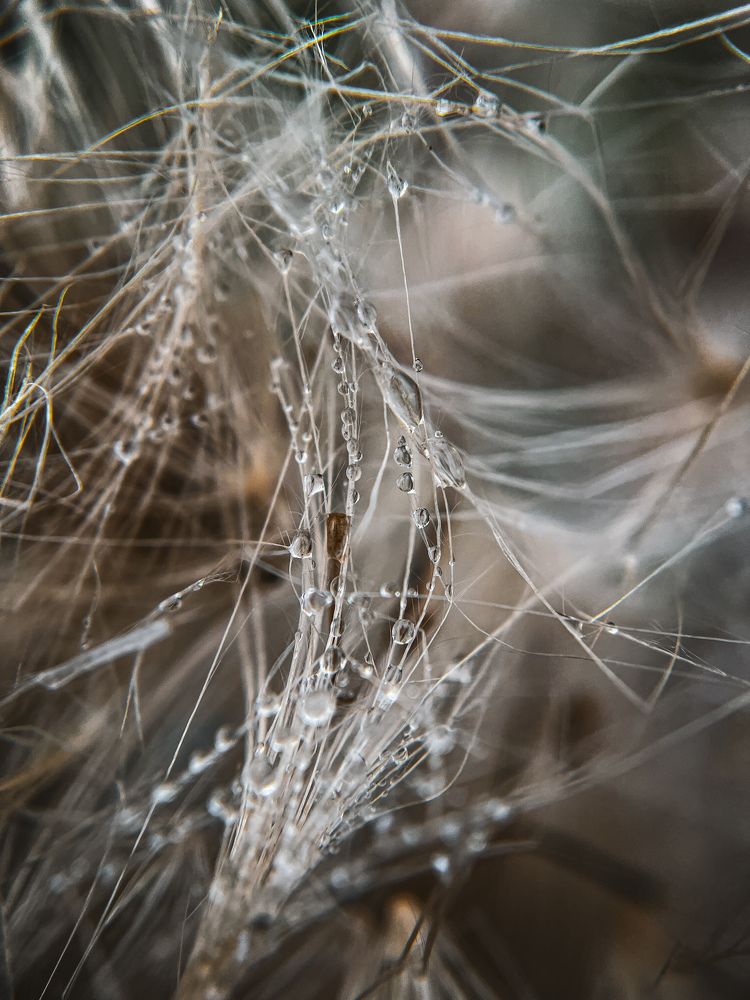 Photograph by Анна