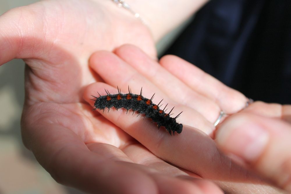 Photograph by Olga Bagaeva