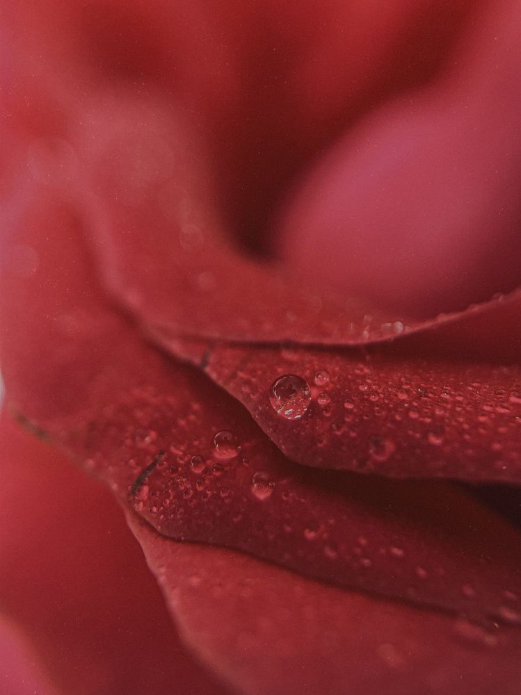 Photograph by Анна