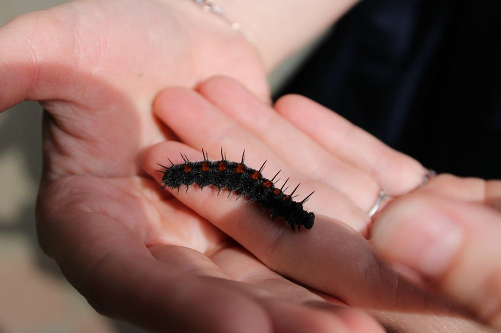 Photograph by Olga Bagaeva