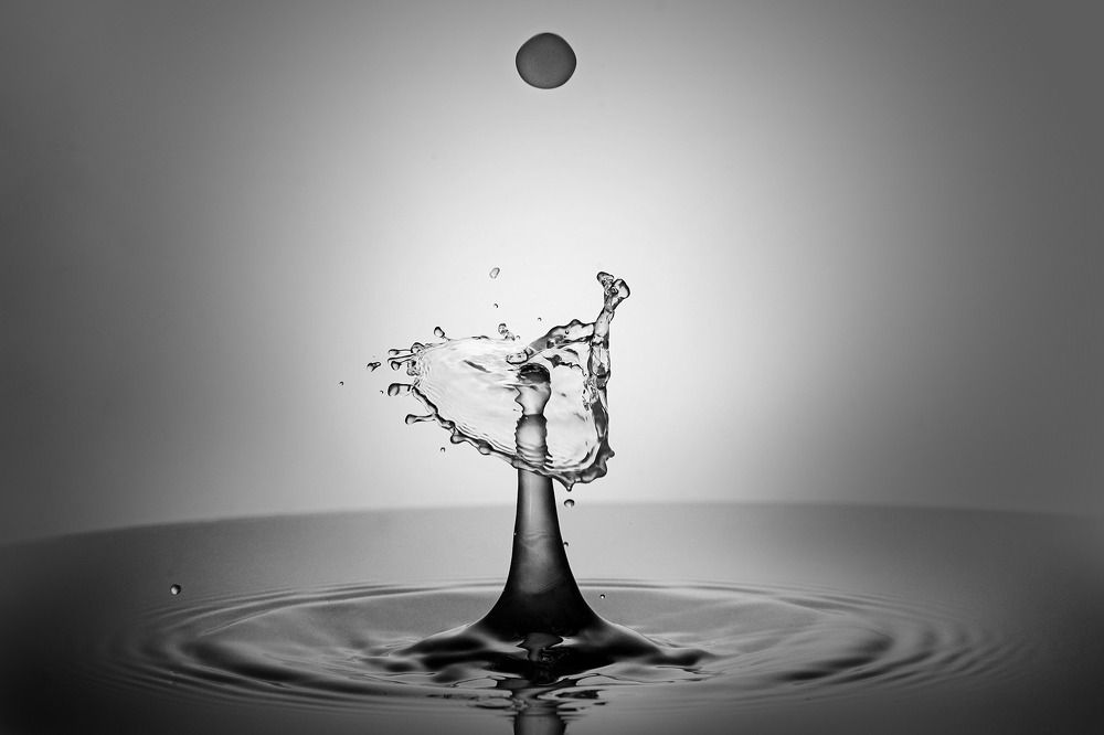 Photograph by Tran Anh Tuan