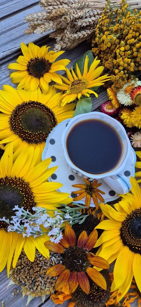 Фотография автора Ольга Мусина