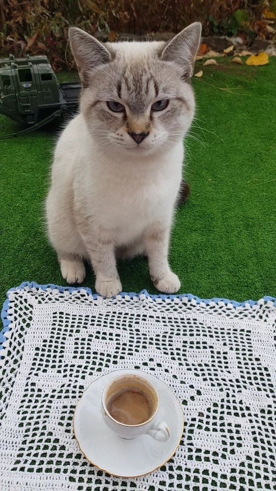 Фотография автора Ольга Мусина