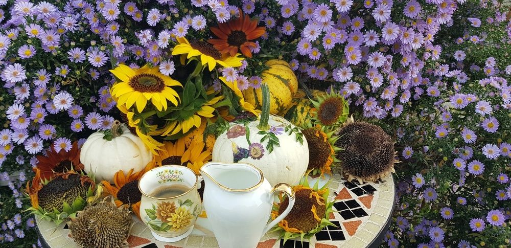 Фотография автора Ольга Мусина