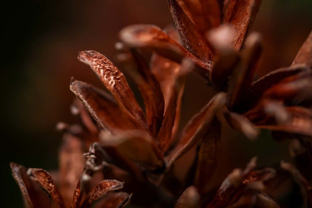 Photograph by Сергей Назаредский