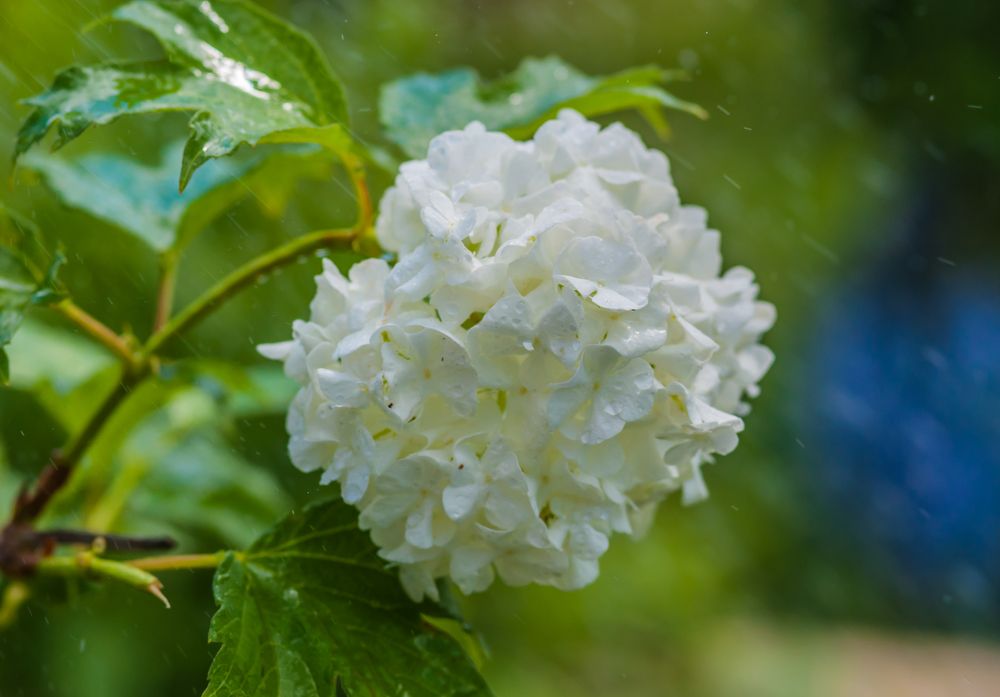 Фотография автора Олег Анатольевич Загорулько