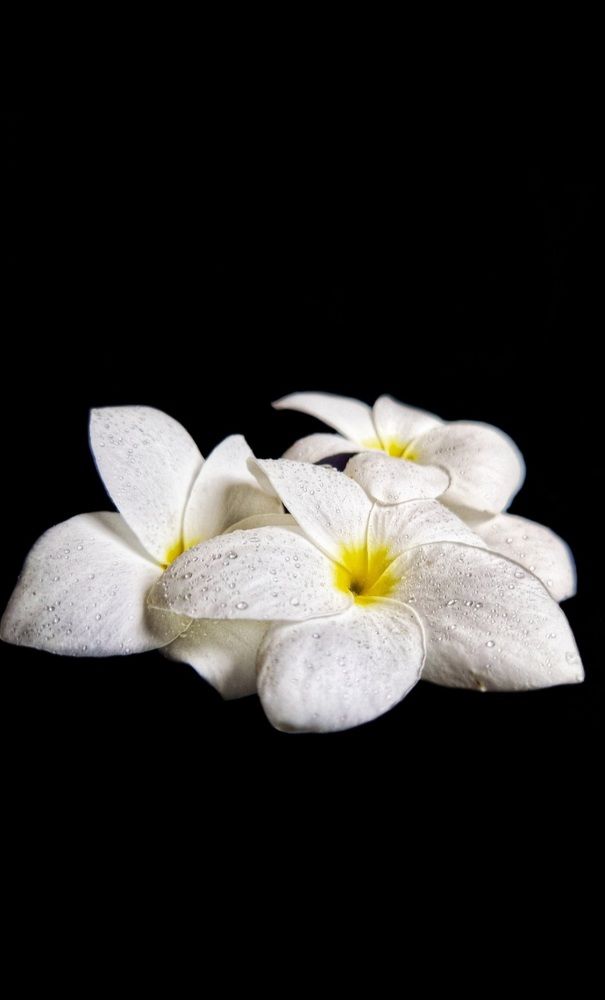 Photograph by Maria Osipova