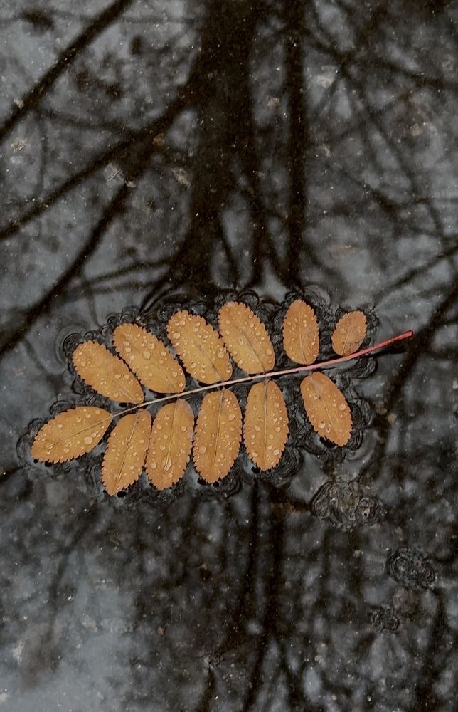 Photograph by Арина Бурда