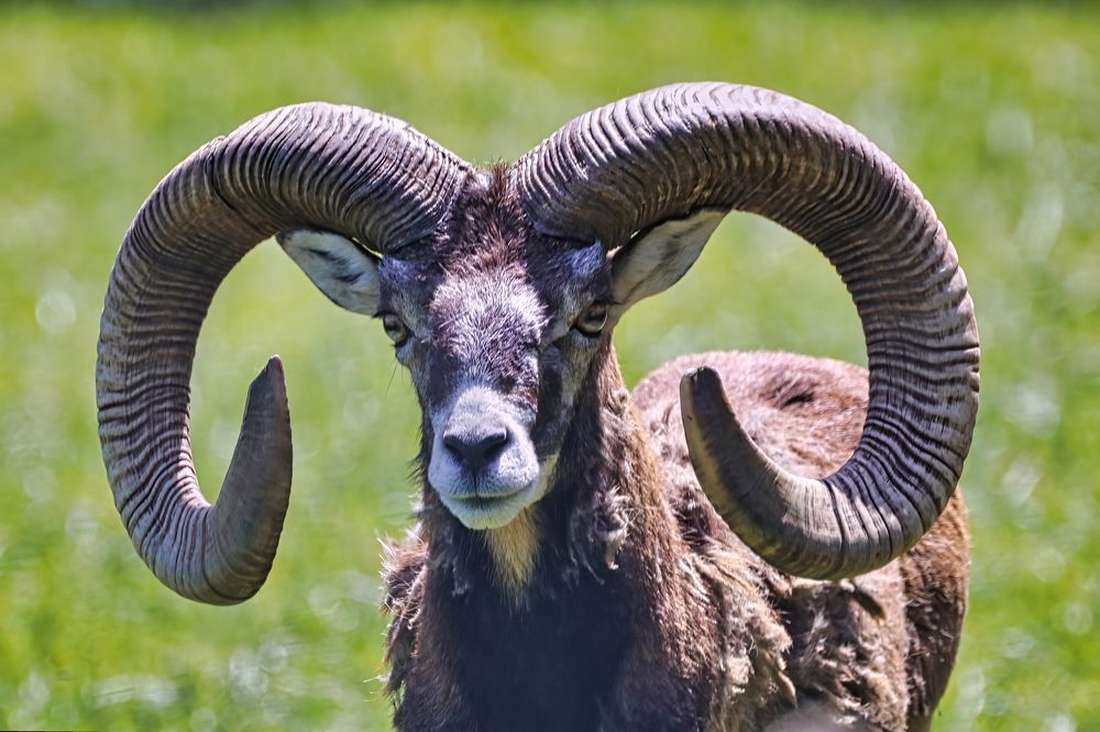 Photograph by Abhishek