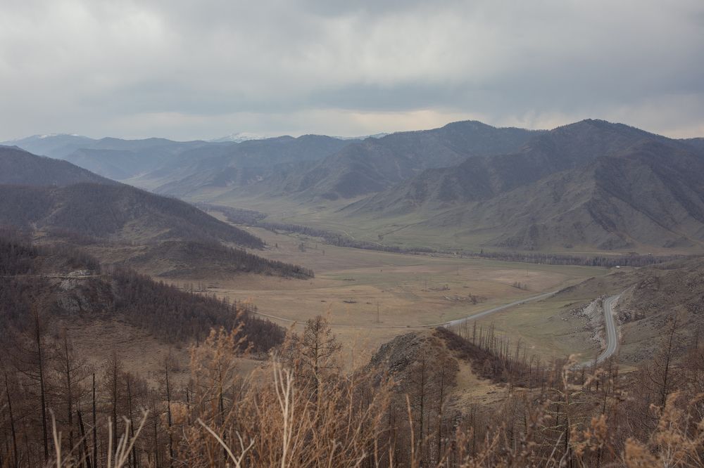 В ГОРНОМ АЛТАЕ