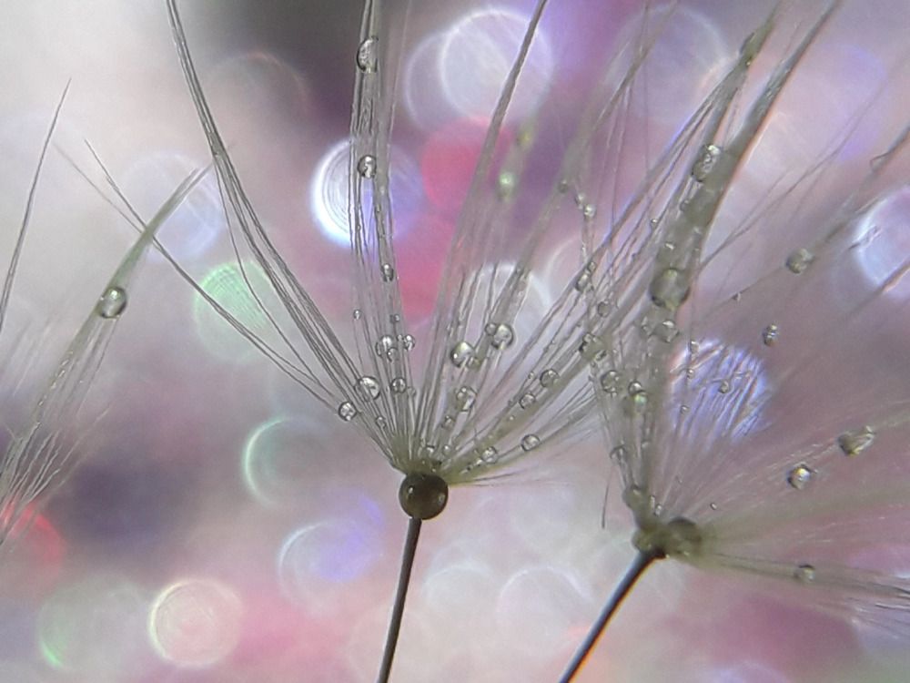 Photograph by Марина Мальцева