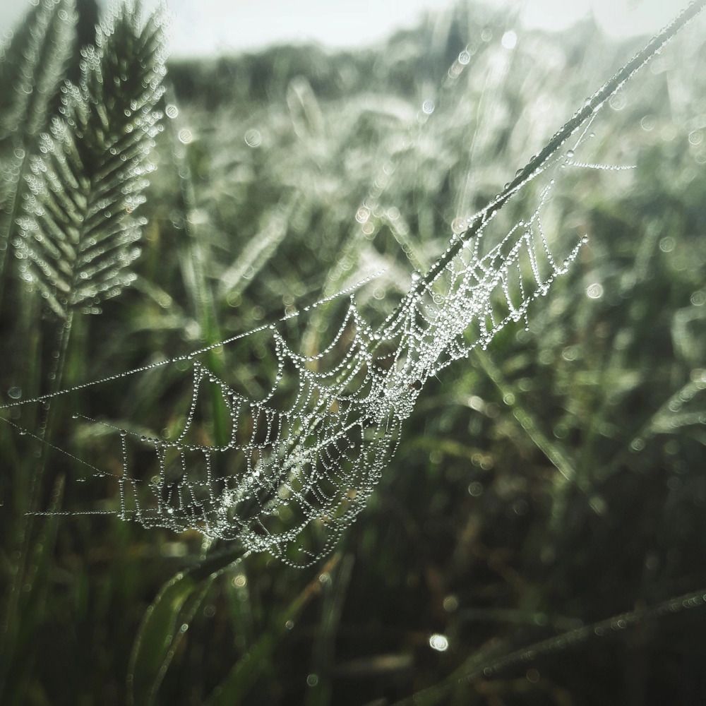 Photograph by Марина Мальцева