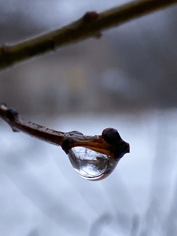 Photograph by Ольга Скиба