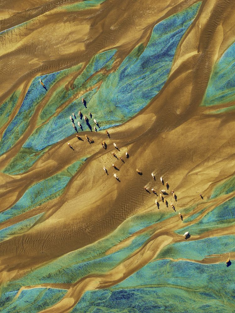 A Thousand Li of Rivers and Mountains