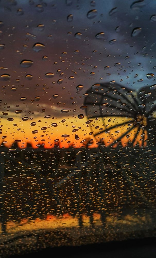 Летний дождь