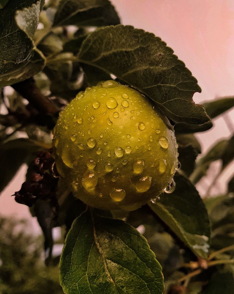 После дождя