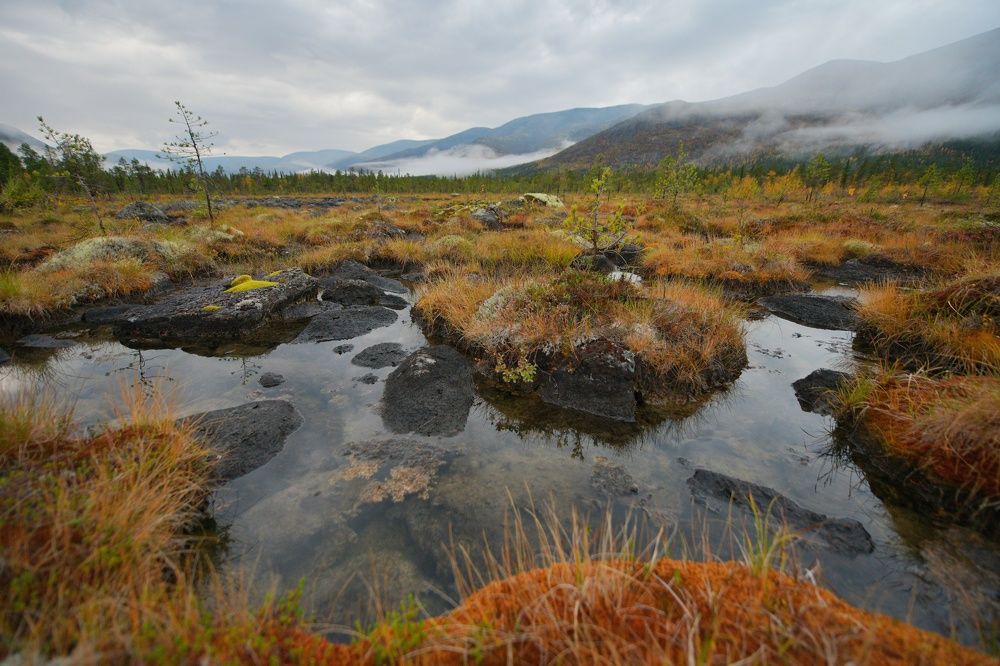 Photograph by Margareth Tikhonova