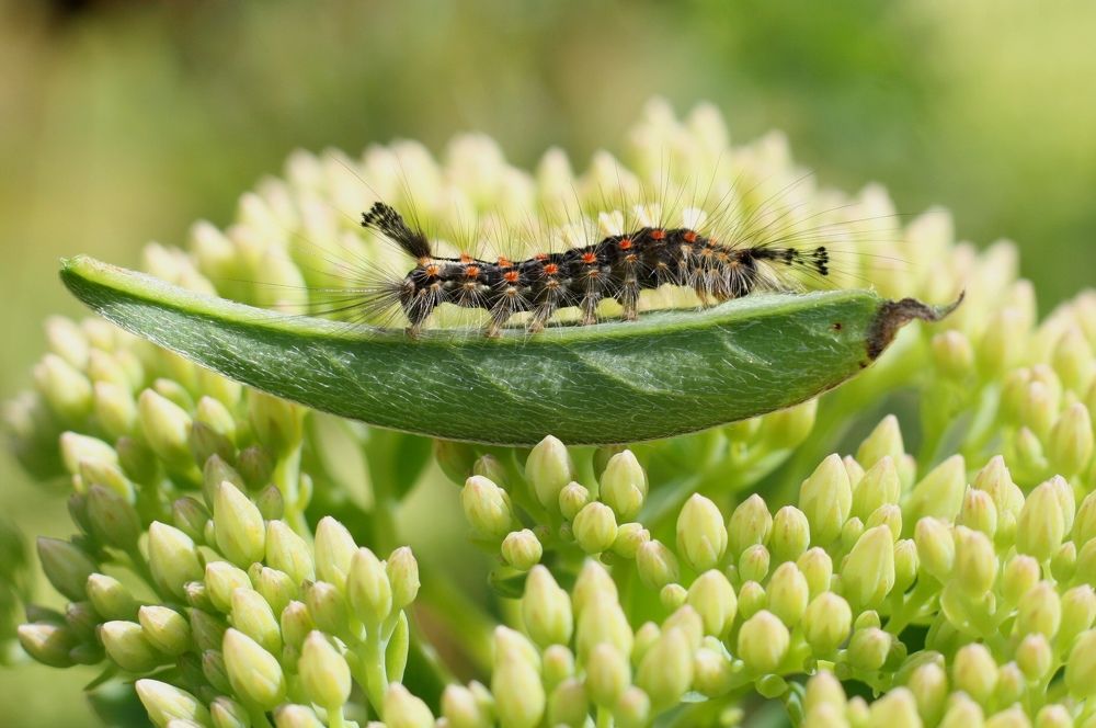 Photograph by Татьяна