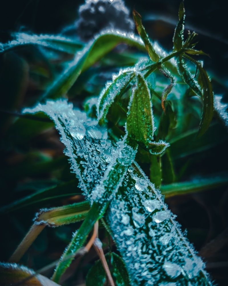 Photograph by Наталья Тополевская