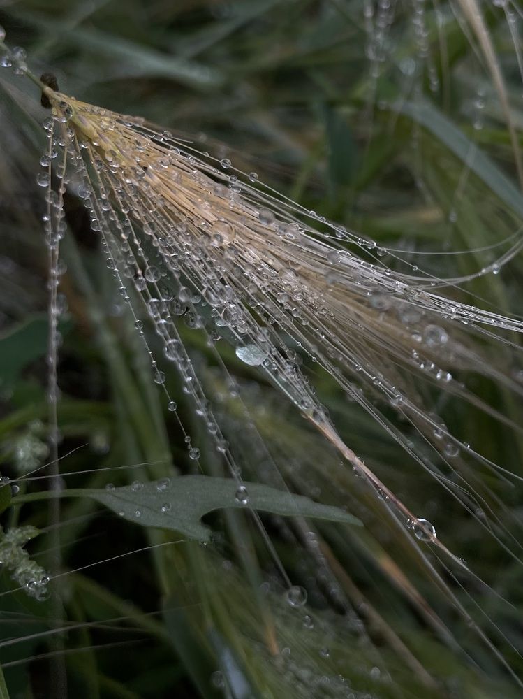 Photograph by Nadezda Yablokova