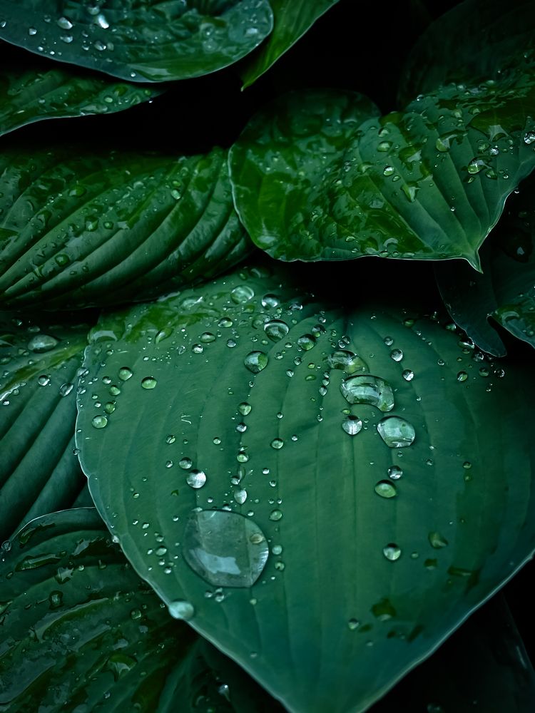 Фотография автора Ольга Каминская