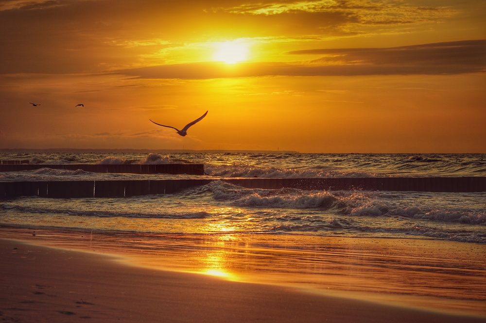 Photograph by Ольга Вороная