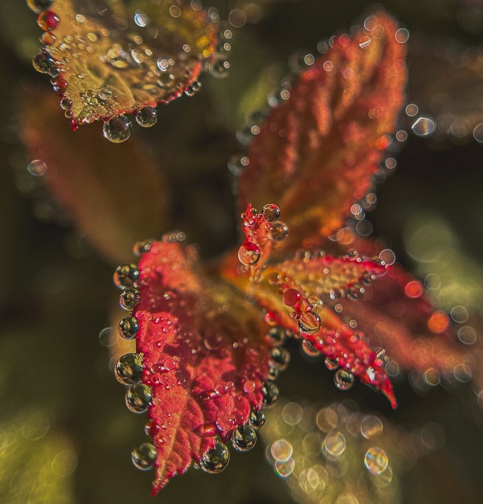 Photograph by Tatyana Boeva