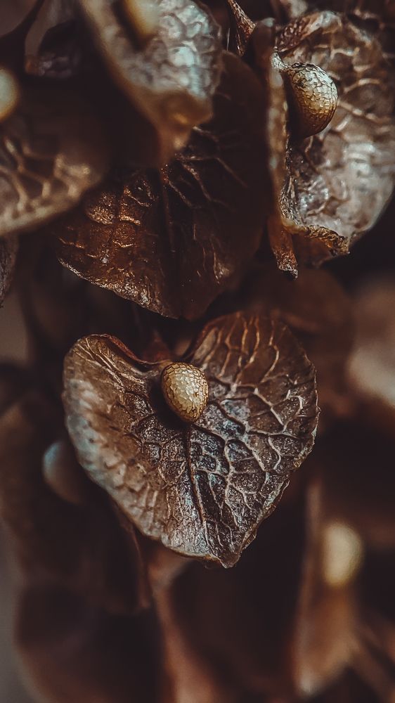 Photograph by Ирина Строкова