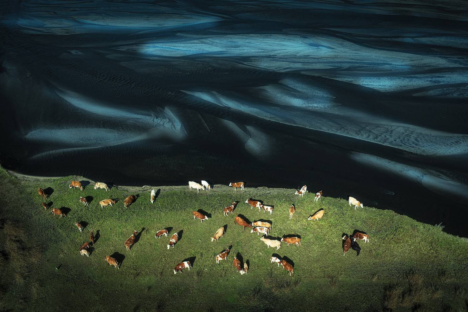 Фотография #11464483