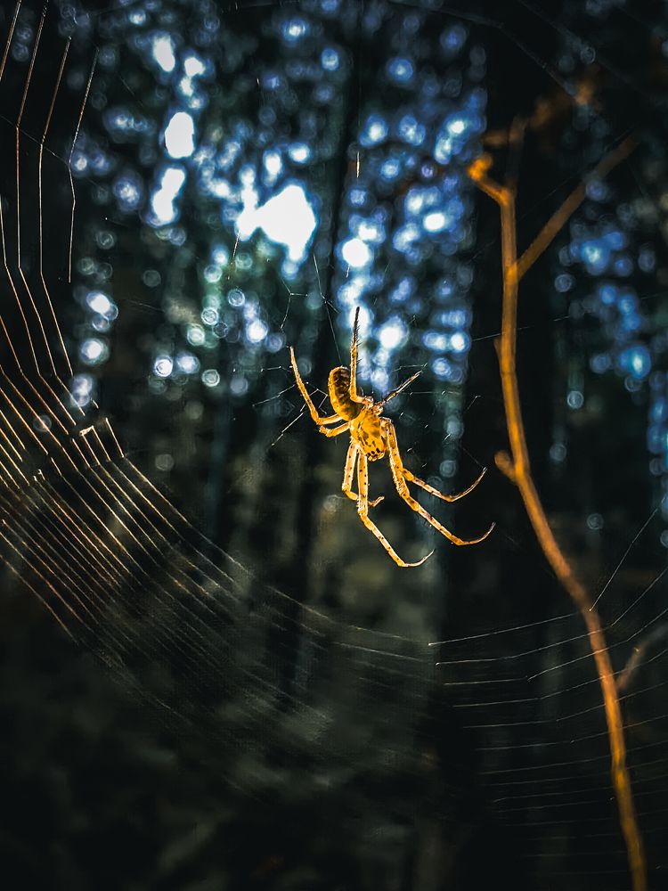 Photograph by Вадим Данилов