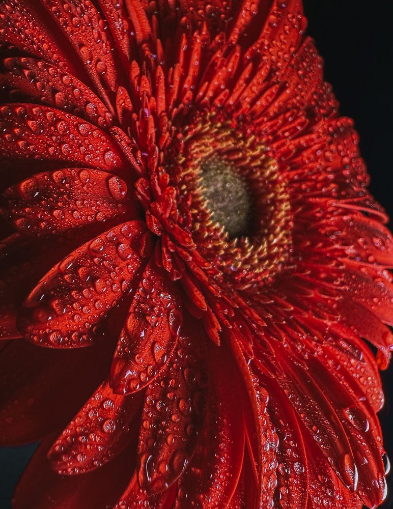 Photograph by Tatyana Boeva