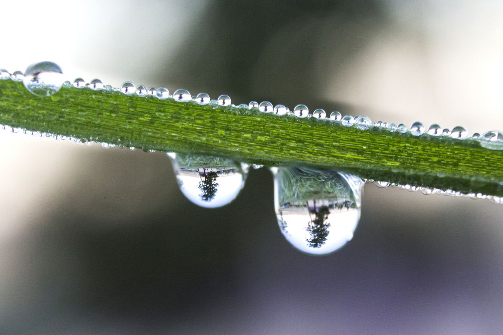 Photograph by Sergey Tsubanov